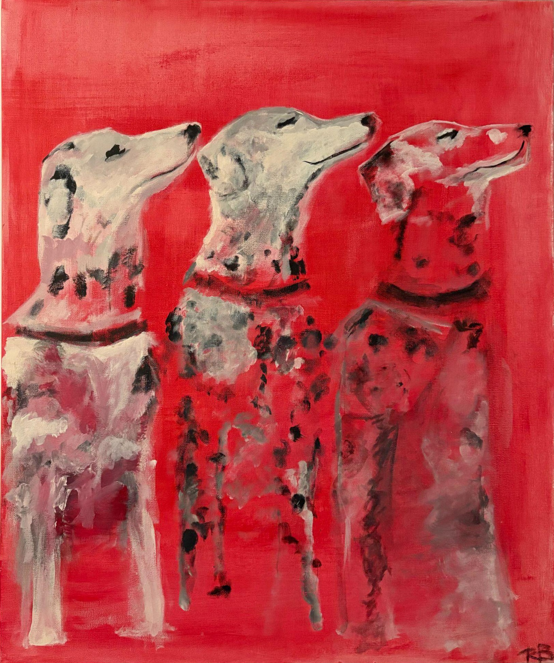 Three spotted dogs facing the same direction against a bold red background
