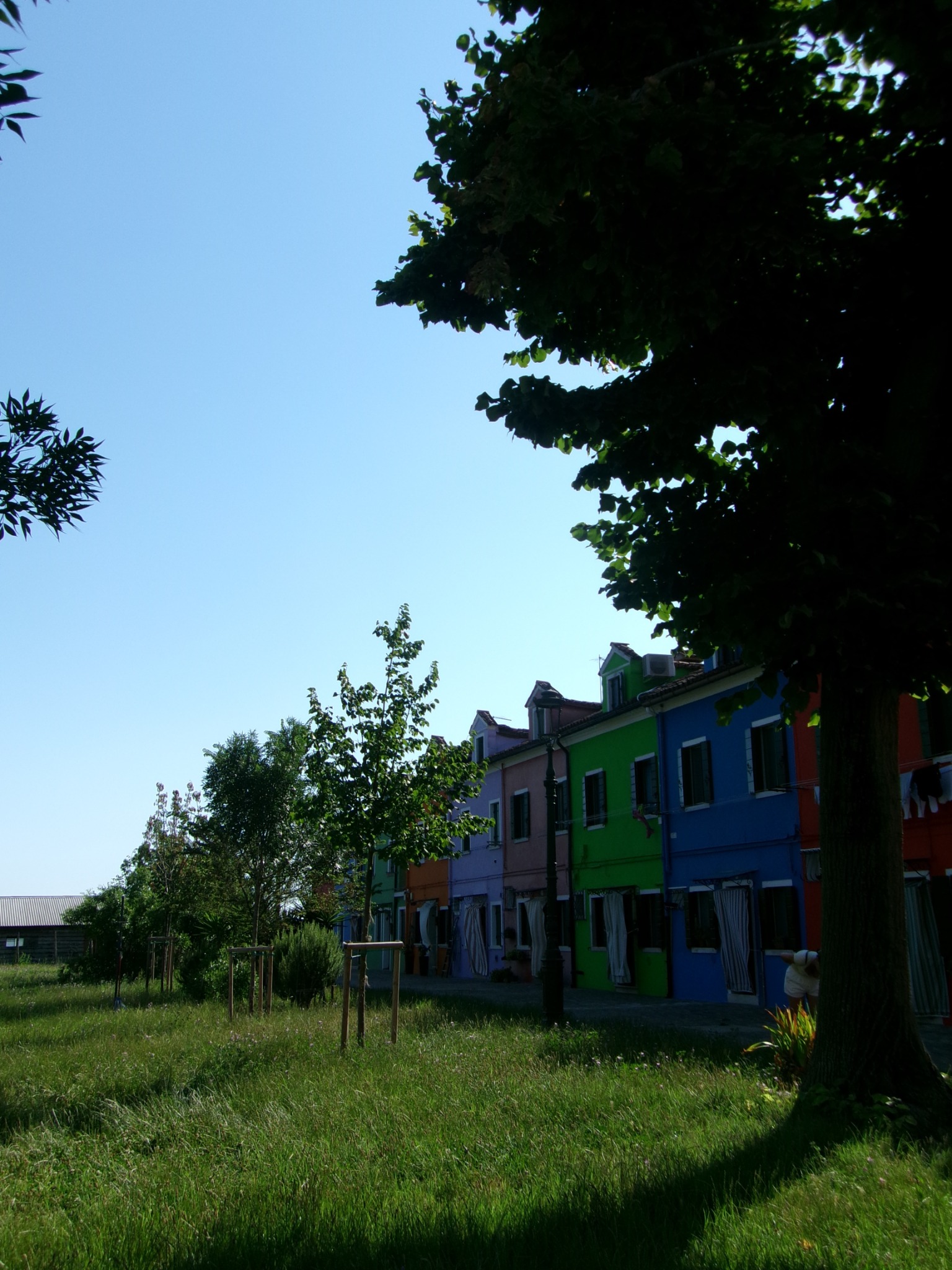 Colorful houses beneath trees and a clear blue sky