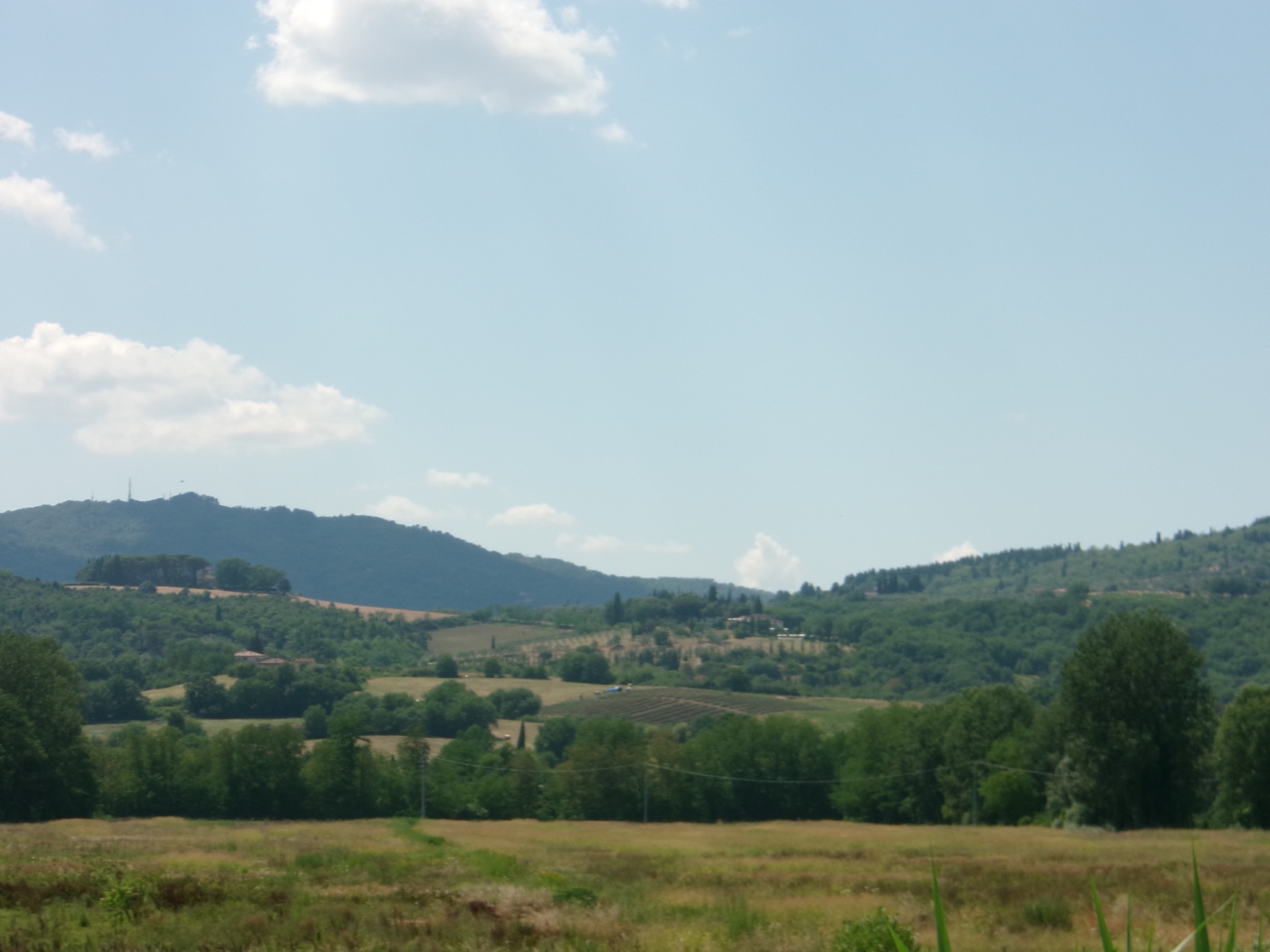 Green fields and wooded hills beneath a blue sky with scattered clouds